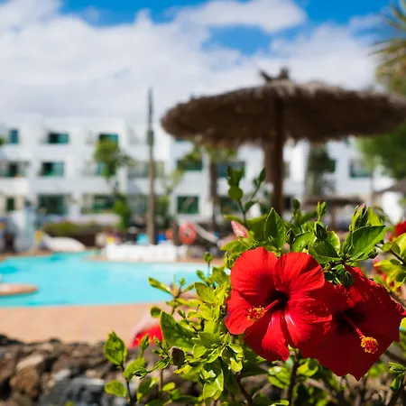 Galeon Playa By Seasense